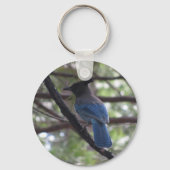 Stellar Jay- Yosemite Sleutelhanger (Voorkant)