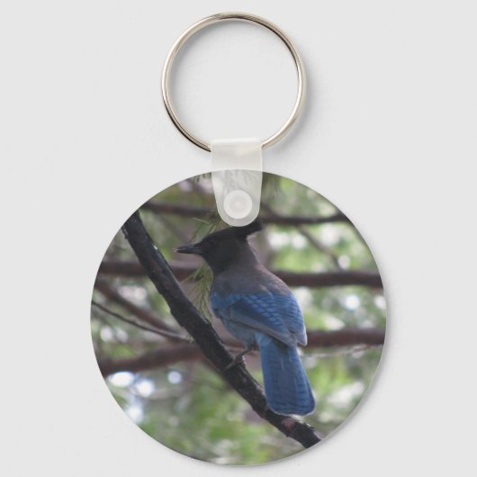 Stellar Jay- Yosemite Sleutelhanger (Voorkant)