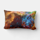 Stellar Nursery R136 in the Tarantula Nebula Kussen (Achterkant)