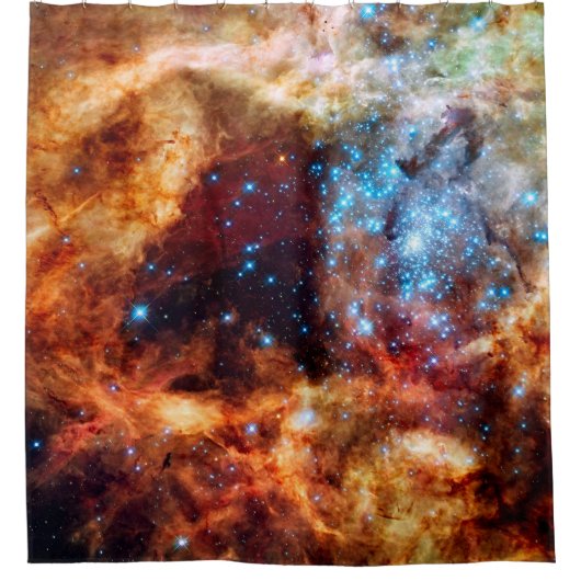Stellar Nursery R136 Tarantula Nebula NASA Foto Douchegordijn (Voorkant)