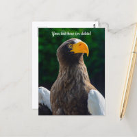 Stellar Sea Eagle Ansichtkaart
