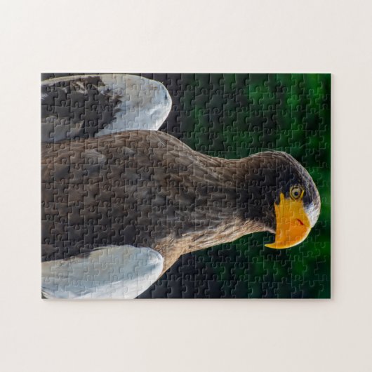 Stellar Zee Eagle Jigsaw puzzel (Horizontaal)