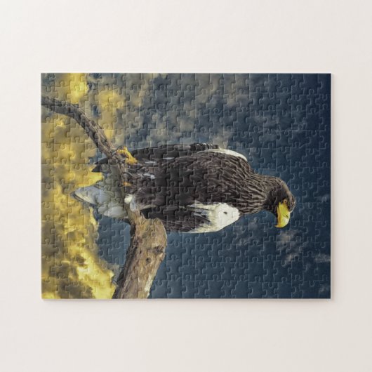 Stellars eagle puzzel legpuzzel (Horizontaal)