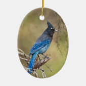 Stellar's Jay Bird Schilderij Custom Year Christma Keramisch Ornament (Voorkant)