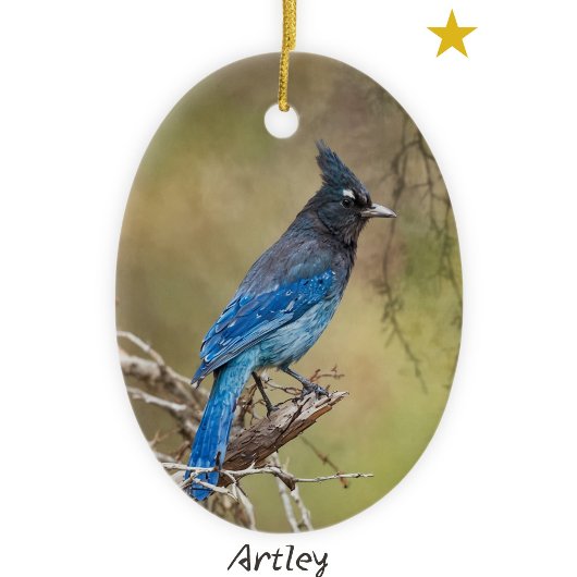 Stellar's Jay Bird Schilderij Custom Year Christma Keramisch Ornament