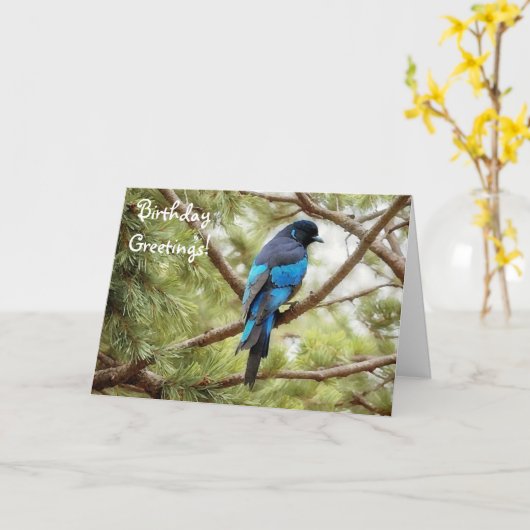 Stellars Jay Blue Bird Birthday Kaart Vogelliefheb (Gele Bloem)