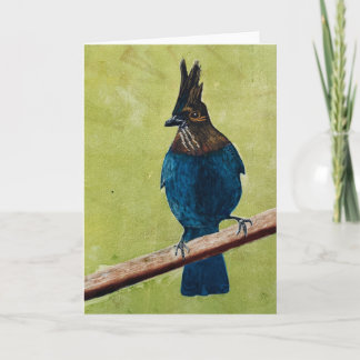 Stellar's Jay NOTITIEKAART