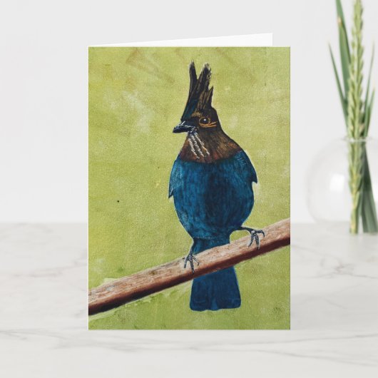 Stellar's Jay NOTITIEKAART (Voorkant)