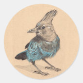 Stellar's Jay Ronde Sticker (Voorkant)