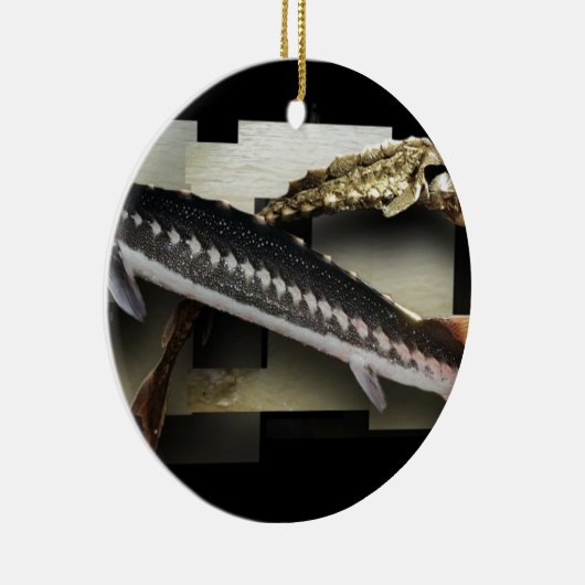 Stellate Sturgeon 3D Collage Keramisch Ornament (Rechts)