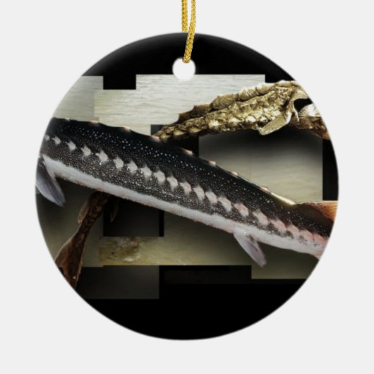 Stellate Sturgeon 3D Collage Keramisch Ornament (Voorkant)