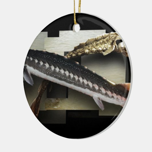 Stellate Sturgeon 3D Collage Keramisch Ornament (Links)