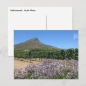 Stellenbosch, Zuid-Afrika Briefkaart (Voorkant / Achterkant)