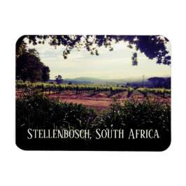 Stellenbosch, Zuid-Afrika Magneet