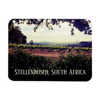 Stellenbosch, Zuid-Afrika Magneet