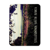 Stellenbosch, Zuid-Afrika Magneet (Verticaal)