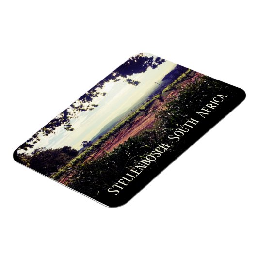 Stellenbosch, Zuid-Afrika Magneet (Linkerzijde)