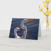 Stellende Aigrettes Kaart (Gele Bloem)