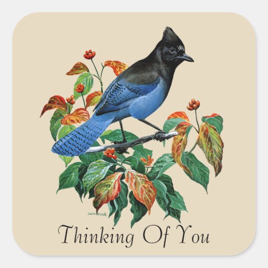  steller Jay bird Thinking of you sticker (Voorkant)