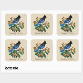  steller Jay bird Thinking of you sticker (Vel)