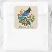  steller Jay bird Thinking of you sticker (Tas)