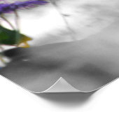 Steller Jay Poster (Hoek)