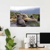 Steller Zee Lions - Fine Art Prints (Thuiskantoor)