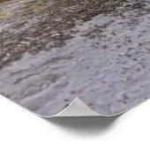 Steller Zee Lions - Fine Art Prints (Hoek)