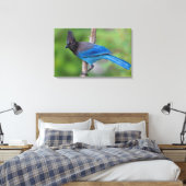 Steller's Gaai 1 Canvas Afdruk (Insitu (Slaapkamer))