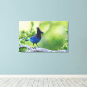 Stellers gaai canvas afdruk (Insitu (Houten vloer))