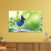 Stellers gaai canvas afdruk (Insitu (Woonkamer))
