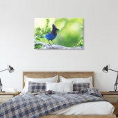 Stellers gaai canvas afdruk (Insitu (Slaapkamer))