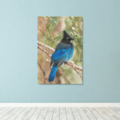 Stellers gaai in boom canvas afdruk (Insitu (Houten vloer))