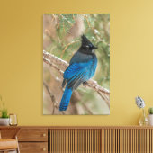 Stellers gaai in boom canvas afdruk (Insitu (Woonkamer))