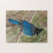 Stellers gaai in boom legpuzzel (Horizontaal)