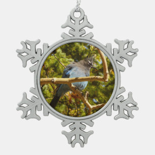 Stellers gaai in Rocky Mountain National Park Tin Sneeuwvlok Ornament
