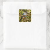 Stellers gaai in Rocky Mountain National Park Vierkante Sticker (Tas)