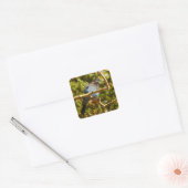 Stellers gaai in Rocky Mountain National Park Vierkante Sticker (Envelop)