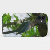 Stellers gaai in Yosemite National Park Case-Mate iPhone Case (Achterkant (horizontaal))