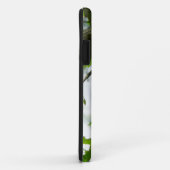 Stellers gaai in Yosemite National Park Case-Mate iPhone Case (Achterkant/rechts)