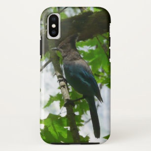 Stellers gaai in Yosemite National Park iPhone X Hoesje