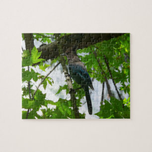 Stellers gaai in Yosemite National Park Legpuzzel