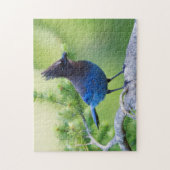 Stellers gaai legpuzzel (Verticaal)