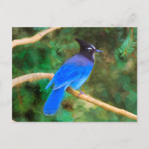 Stellers Gaai Schilderij - Originele Vogel Kunst Briefkaart