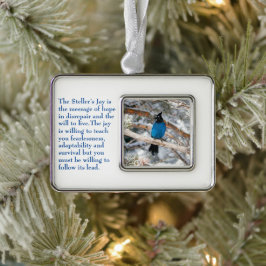Stellers gaai verzilverd omlijst ornament