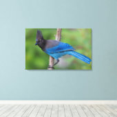 Steller's Jay 1 Canvas Afdruk (Insitu (Houten vloer))
