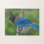 Steller's Jay 1 Legpuzzel (Horizontaal)