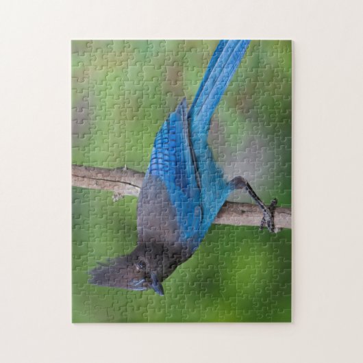 Steller's Jay 1 Legpuzzel (Verticaal)