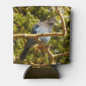 Steller's Jay at Rocky Mountain National Park Blikjeskoeler (Voorkant)