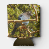 Steller's Jay at Rocky Mountain National Park Blikjeskoeler (Achterkant)